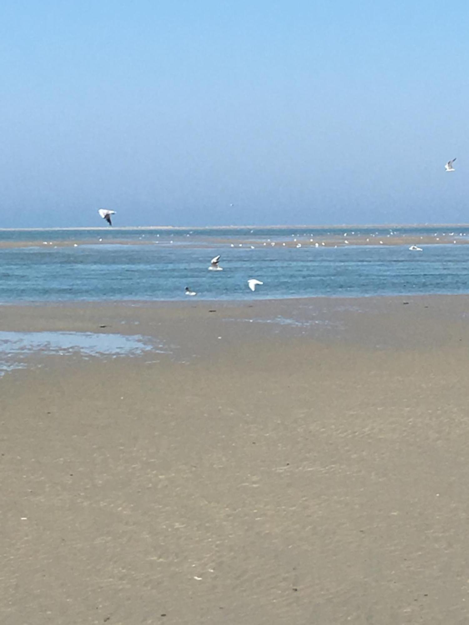 Hébergement de vacances Maison De Pecheur Renovee A 3 Mn De La Mer. Cayeux-sur-Mer