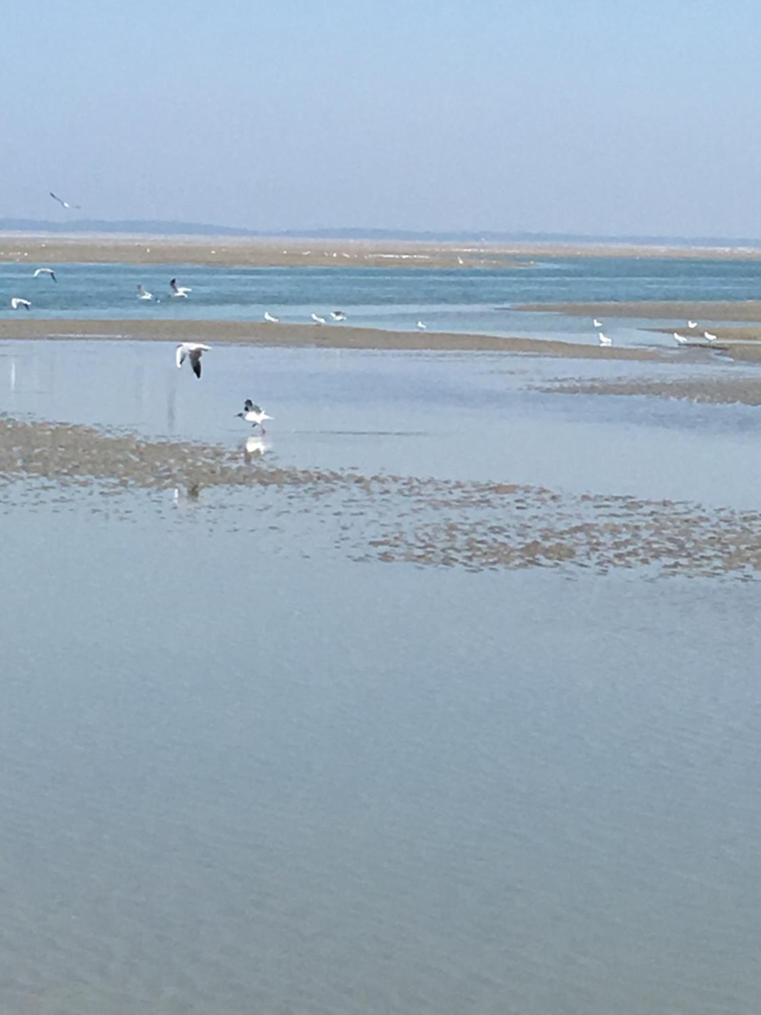 Maison De Pecheur Renovee A 3 Mn De La Mer. * Cayeux-sur-Mer