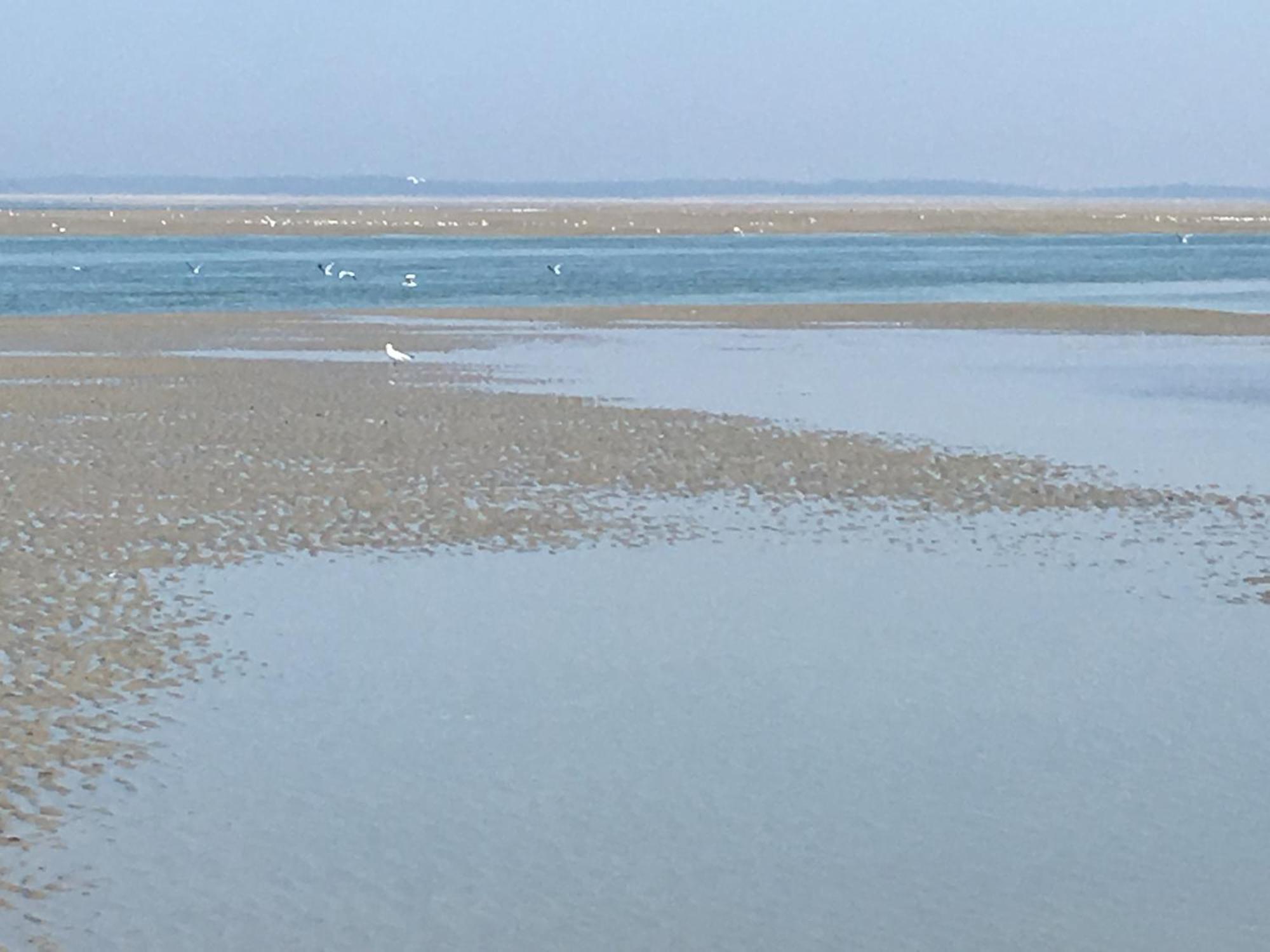 Hébergement de vacances Maison De Pecheur Renovee A 3 Mn De La Mer.
